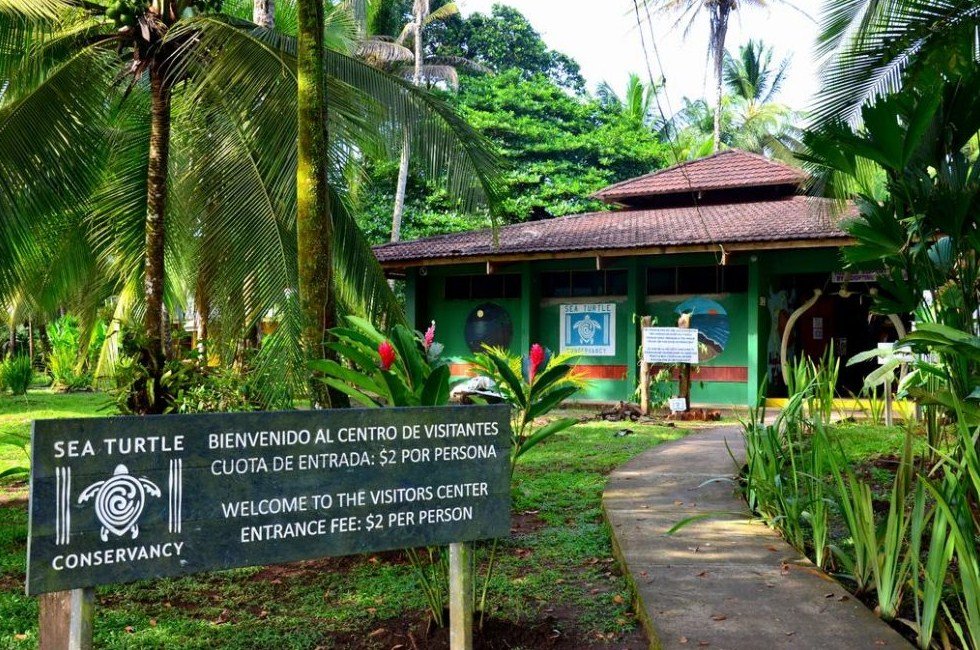 Museo de la Tortuga en Limón