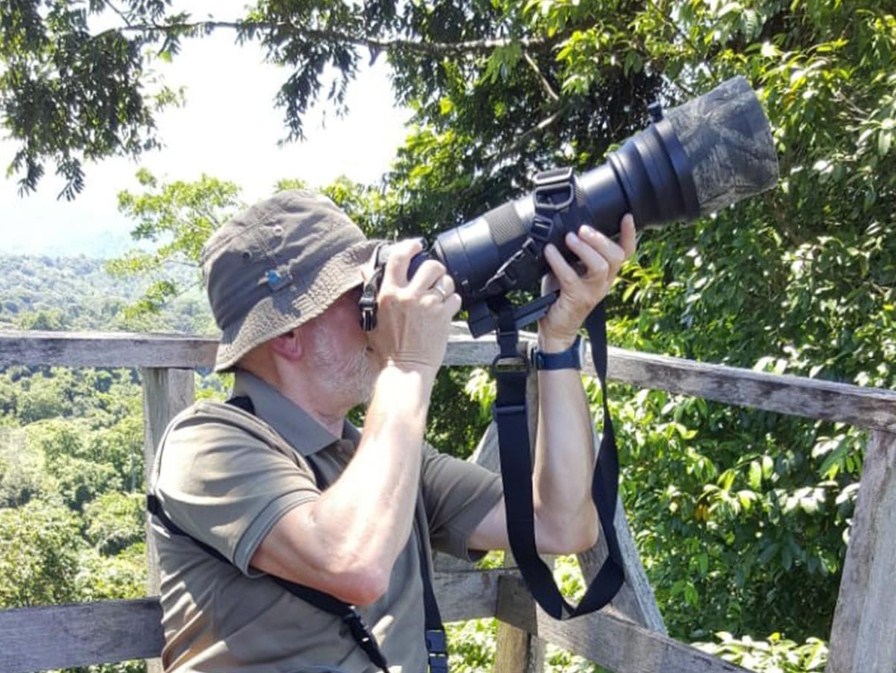 Observación temprana de Aves en Guanacaste