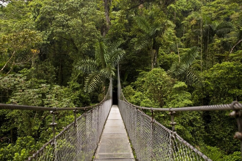 Puentes Colgantes de Arenal en Alajuela