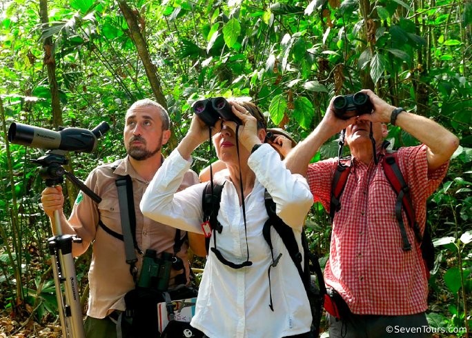 Tour de Observación de Aves en Arenal, Alajuela – Costa Rica